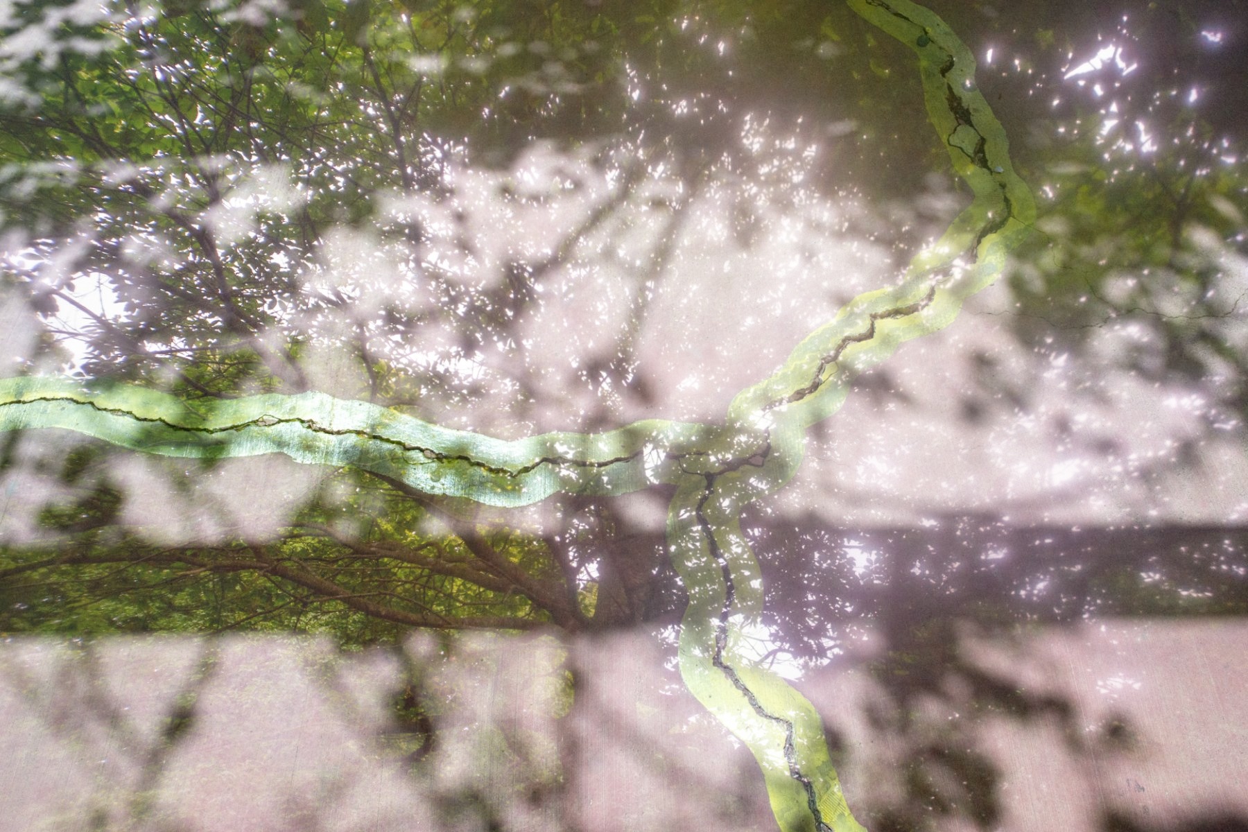 Dobbelteksponering — ImageSwapp